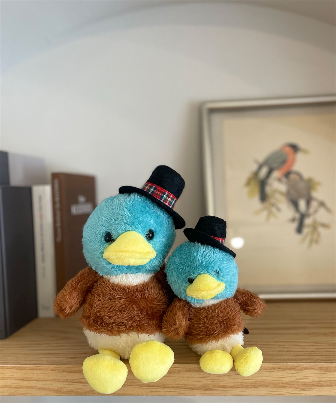 DECOY コイ君ぬいぐるみ_main