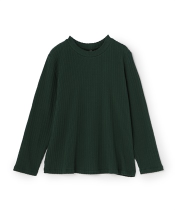 anyfee 【anyfee/プラスサイズ】プチハイネックTシャツ_variationthumb_4