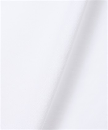 A/C DESIGN BY ALPHA CUBIC シアー切り替えレイヤード風刺しゅうTシャツ【すごツヤ】_subthumb_29