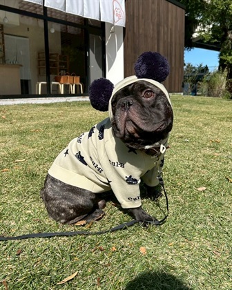 Cul-B 【for dogs】総柄スウェットライクニット　Cul-B/キューブ/愛犬服_subthumb_5