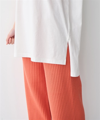 anyfee 【anyfee/プラスサイズ】USAコットンオーバーサイズベーシック半袖Tシャツ・接触冷感_subthumb_6