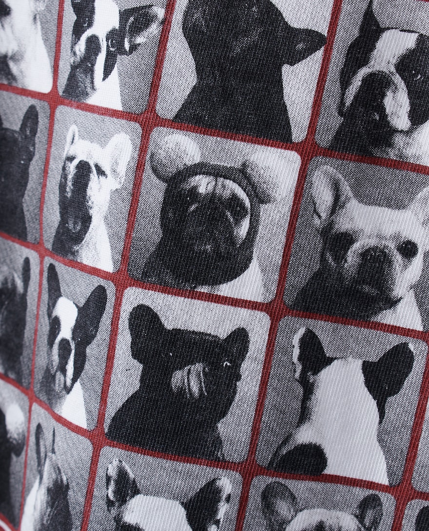 【for owners】フォトプリントTシャツの画像３