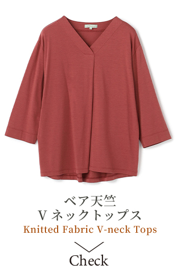 ベア天竺Vネックトップスの画像