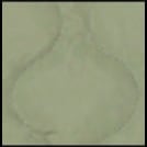 sec2_color2